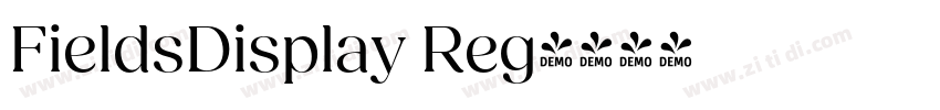 FieldsDisplay Reg字体转换